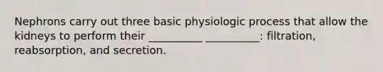 Nephrons carry out three basic physiologic process that allow the kidneys to perform their __________ __________: filtration, reabsorption, and secretion.