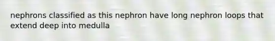 nephrons classified as this nephron have long nephron loops that extend deep into medulla