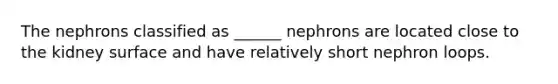 The nephrons classified as ______ nephrons are located close to the kidney surface and have relatively short nephron loops.