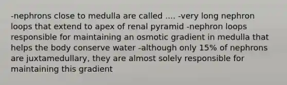 -nephrons close to medulla are called .... -very long nephron loops that extend to apex of renal pyramid -nephron loops responsible for maintaining an osmotic gradient in medulla that helps the body conserve water -although only 15% of nephrons are juxtamedullary, they are almost solely responsible for maintaining this gradient