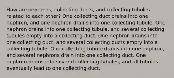 How are nephrons, collecting ducts, and collecting tubules related to each other? One collecting duct drains into one nephron, and one nephron drains into one collecting tubule. One nephron drains into one collecting tubule, and several collecting tubules empty into a collecting duct. One nephron drains into one collecting duct, and several collecting ducts empty into a collecting tubule. One collecting tubule drains into one nephron, and several nephrons drain into one collecting duct. One nephron drains into several collecting tubules, and all tubules eventually lead to one collecting duct.