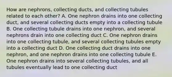 How are nephrons, collecting ducts, and collecting tubules related to each other? A. One nephron drains into one collecting duct, and several collecting ducts empty into a collecting tubule B. One collecting tubule drains into one nephron, and several nephrons drain into one collecting duct C. One nephron drains into one collecting tubule, and several collecting tubules empty into a collecting duct D. One collecting duct drains into one nephron, and one nephron drains into one collecting tubule E. One nephron drains into several collecting tubules, and all tubules eventually lead to one collecting duct