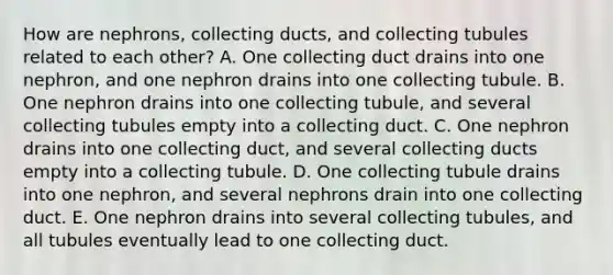 How are nephrons, collecting ducts, and collecting tubules related to each other? A. One collecting duct drains into one nephron, and one nephron drains into one collecting tubule. B. One nephron drains into one collecting tubule, and several collecting tubules empty into a collecting duct. C. One nephron drains into one collecting duct, and several collecting ducts empty into a collecting tubule. D. One collecting tubule drains into one nephron, and several nephrons drain into one collecting duct. E. One nephron drains into several collecting tubules, and all tubules eventually lead to one collecting duct.