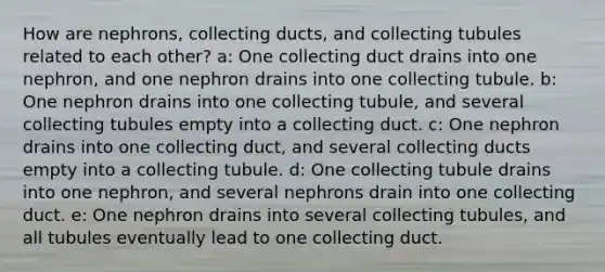 How are nephrons, collecting ducts, and collecting tubules related to each other? a: One collecting duct drains into one nephron, and one nephron drains into one collecting tubule. b: One nephron drains into one collecting tubule, and several collecting tubules empty into a collecting duct. c: One nephron drains into one collecting duct, and several collecting ducts empty into a collecting tubule. d: One collecting tubule drains into one nephron, and several nephrons drain into one collecting duct. e: One nephron drains into several collecting tubules, and all tubules eventually lead to one collecting duct.