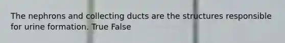 The nephrons and collecting ducts are the structures responsible for urine formation. True False