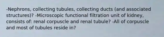 -Nephrons, collecting tubules, collecting ducts (and associated structures)? -Microscopic functional filtration unit of kidney, consists of: renal corpuscle and renal tubule? -All of corpuscle and most of tubules reside in?