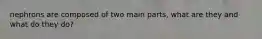 nephrons are composed of two main parts, what are they and what do they do?