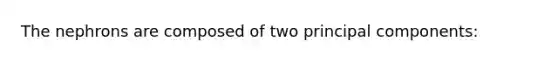 The nephrons are composed of two principal components: