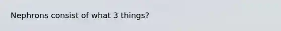 Nephrons consist of what 3 things?