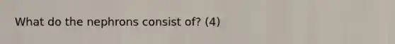 What do the nephrons consist of? (4)