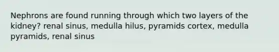Nephrons are found running through which two layers of the kidney? renal sinus, medulla hilus, pyramids cortex, medulla pyramids, renal sinus