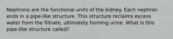 Nephrons are the functional units of the kidney. Each nephron ends in a pipe-like structure. This structure reclaims excess water from the filtrate, ultimately forming urine. What is this pipe-like structure called?