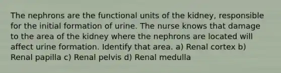 The nephrons are the functional units of the kidney, responsible for the initial formation of urine. The nurse knows that damage to the area of the kidney where the nephrons are located will affect urine formation. Identify that area. a) Renal cortex b) Renal papilla c) Renal pelvis d) Renal medulla