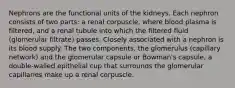 Nephrons are the functional units of the kidneys. Each nephron consists of two parts: a renal corpuscle, where blood plasma is filtered, and a renal tubule into which the filtered fluid (glomerular filtrate) passes. Closely associated with a nephron is its blood supply. The two components, the glomerulus (capillary network) and the glomerular capsule or Bowman's capsule, a double-walled epithelial cup that surrounds the glomerular capillaries make up a renal corpuscle.