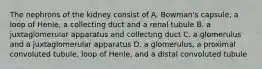 The nephrons of the kidney consist of A. Bowman's capsule, a loop of Henle, a collecting duct and a renal tubule B. a juxtaglomerular apparatus and collecting duct C. a glomerulus and a juxtaglomerular apparatus D. a glomerulus, a proximal convoluted tubule, loop of Henle, and a distal convoluted tubule