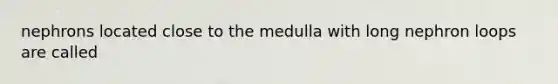 nephrons located close to the medulla with long nephron loops are called