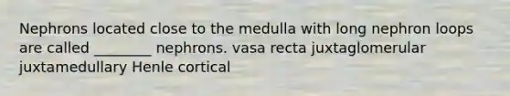 Nephrons located close to the medulla with long nephron loops are called ________ nephrons. vasa recta juxtaglomerular juxtamedullary Henle cortical