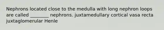 Nephrons located close to the medulla with long nephron loops are called ________ nephrons. juxtamedullary cortical vasa recta juxtaglomerular Henle