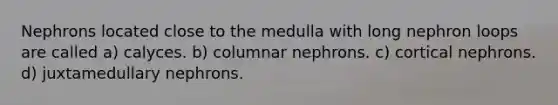 Nephrons located close to the medulla with long nephron loops are called a) calyces. b) columnar nephrons. c) cortical nephrons. d) juxtamedullary nephrons.