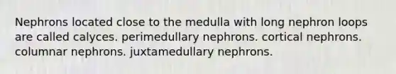 Nephrons located close to the medulla with long nephron loops are called calyces. perimedullary nephrons. cortical nephrons. columnar nephrons. juxtamedullary nephrons.