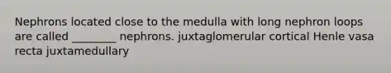 Nephrons located close to the medulla with long nephron loops are called ________ nephrons. juxtaglomerular cortical Henle vasa recta juxtamedullary