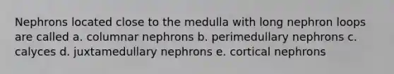 Nephrons located close to the medulla with long nephron loops are called a. columnar nephrons b. perimedullary nephrons c. calyces d. juxtamedullary nephrons e. cortical nephrons