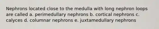 Nephrons located close to the medulla with long nephron loops are called a. perimedullary nephrons b. cortical nephrons c. calyces d. columnar nephrons e. juxtamedullary nephrons