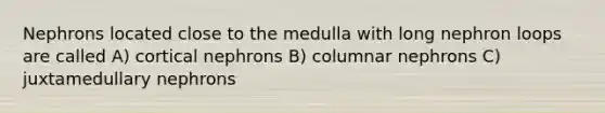 Nephrons located close to the medulla with long nephron loops are called A) cortical nephrons B) columnar nephrons C) juxtamedullary nephrons