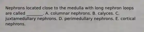 Nephrons located close to the medulla with long nephron loops are called ________. A. columnar nephrons. B. calyces. C. juxtamedullary nephrons. D. perimedullary nephrons. E. cortical nephrons.