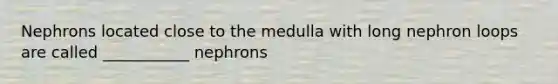 Nephrons located close to the medulla with long nephron loops are called ___________ nephrons