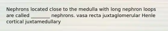 Nephrons located close to the medulla with long nephron loops are called ________ nephrons. vasa recta juxtaglomerular Henle cortical juxtamedullary