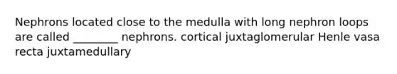 Nephrons located close to the medulla with long nephron loops are called ________ nephrons. cortical juxtaglomerular Henle vasa recta juxtamedullary