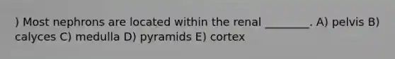) Most nephrons are located within the renal ________. A) pelvis B) calyces C) medulla D) pyramids E) cortex