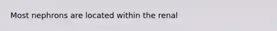 Most nephrons are located within the renal