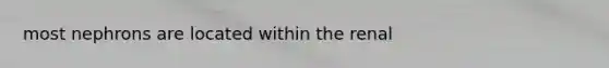most nephrons are located within the renal