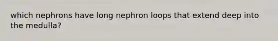 which nephrons have long nephron loops that extend deep into the medulla?