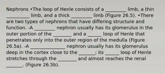 Nephrons •The loop of Henle consists of a _________ limb, a thin __________ limb, and a thick _________ limb (Figure 26.5). •There are two types of nephrons that have differing structure and function. -A _________ nephron usually has its glomerulus in the outer portion of the ________ and a ______ loop of Henle that penetrates only into the outer region of the medulla (Figure 26.5a). -A _______________ nephron usually has its glomerulus deep in the cortex close to the _______; its ______ loop of Henle stretches through the ________ and almost reaches the renal _______. (Figure 26.5b).