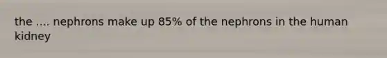 the .... nephrons make up 85% of the nephrons in the human kidney