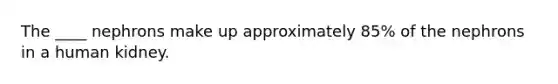 The ____ nephrons make up approximately 85% of the nephrons in a human kidney.