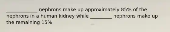 _____________ nephrons make up approximately 85% of the nephrons in a human kidney while _________ nephrons make up the remaining 15%