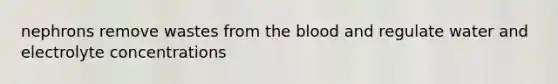 nephrons remove wastes from the blood and regulate water and electrolyte concentrations