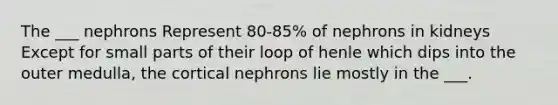 The ___ nephrons Represent 80-85% of nephrons in kidneys Except for small parts of their loop of henle which dips into the outer medulla, the cortical nephrons lie mostly in the ___.