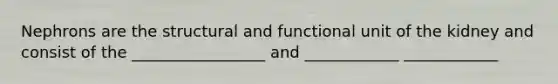 Nephrons are the structural and functional unit of the kidney and consist of the _________________ and ____________ ____________