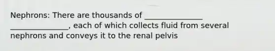 Nephrons: There are thousands of _______________ _______________, each of which collects fluid from several nephrons and conveys it to the renal pelvis