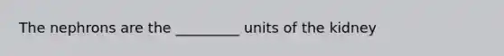 The nephrons are the _________ units of the kidney