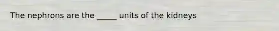 The nephrons are the _____ units of the kidneys