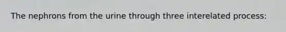 The nephrons from the urine through three interelated process: