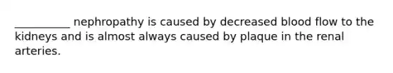 __________ nephropathy is caused by decreased blood flow to the kidneys and is almost always caused by plaque in the renal arteries.
