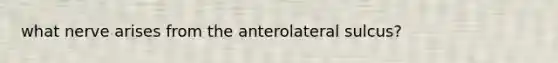 what nerve arises from the anterolateral sulcus?