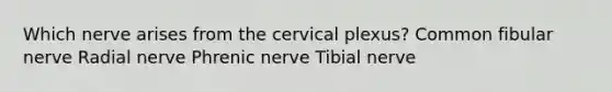 Which nerve arises from the cervical plexus? Common fibular nerve Radial nerve Phrenic nerve Tibial nerve